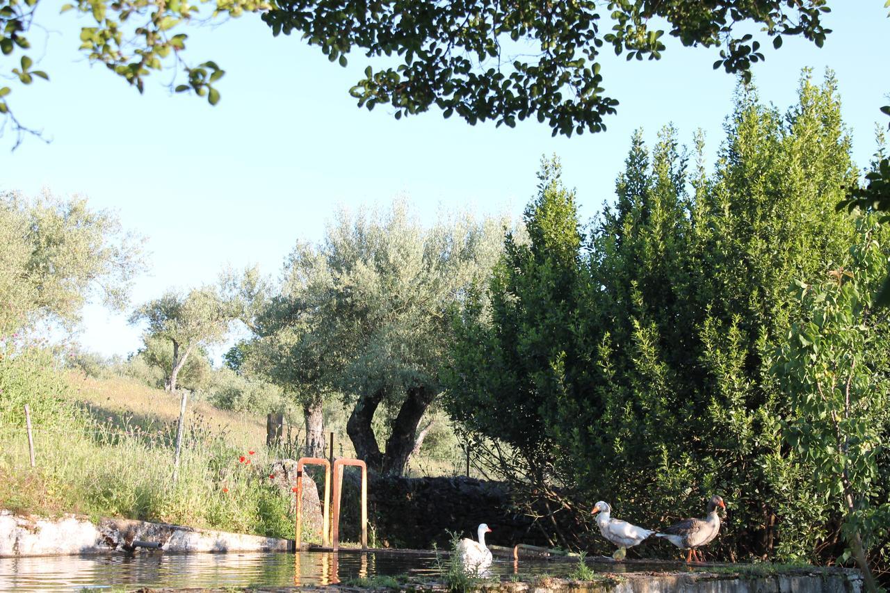 Finca La Carnicera Constantina Exterior photo